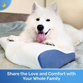 Derila Cervical Queen Size Pillow for Sleeping - Support Pillow for Side, Back, Stomach Sleepers - Contour Best Bed Pillows for Sleeping