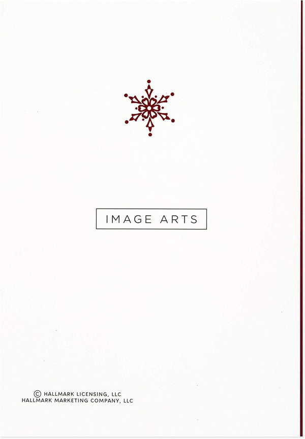 Hallmark Image Arts Christmas Boxed Cards Assortment, Elegant Lettering (4 Designs, 24 Cards with Envelopes) Red and Green Elegant Lettering