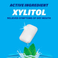 ACT Dry Mouth Moisturizing Gum, 20 Pieces, With Xylitol, Sugar Free Soothing Mint Mint 1 Count (Pack of 20)