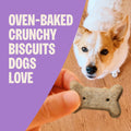 Wellness Old Mother Hubbard Classic Original Mix Dog Biscuits, Natural Training Treats, 4 Flavors, Mini Size, 20 oz Bag Assorted Mini 1.25 Pound