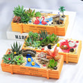 Dracarys Selected 50 Pieces Fairy Garden Accessories, Animals, Miniature Figurines, Micro Landscape Ornaments Kit, DIY , Environmental Resin