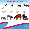 Kennel Cough Treatment & Natural Infection Medicine for Dogs & Cats - Respiratory & Cold Cough Relief - Collapse Trachea & Cat Asthma Support