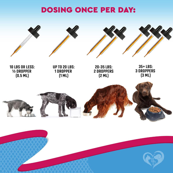Kennel Cough Treatment & Natural Infection Medicine for Dogs & Cats - Respiratory & Cold Cough Relief - Collapse Trachea & Cat Asthma Support