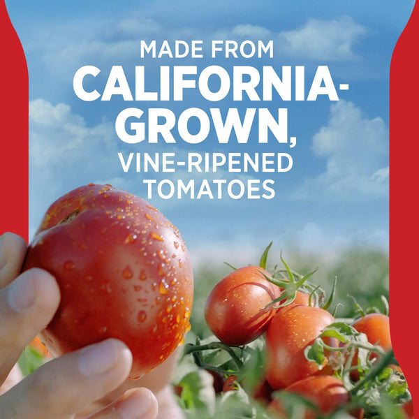 Hunt’s Tomato Ketchup, 20 oz. Squeeze Bottle Tomato 20 Ounce (Pack of 1)