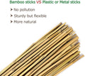Cambaverd Bamboo Stakes 4ft Natural Plant Stakes for Tomatoes, Beans, Climbing Plants Support - 25 Pack Bamboo Sticks for Plants 4 FT-25PACK