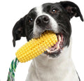 Carllg Dog Chew Toys for Aggressive Chewers, Indestructible Tough Durable Squeaky Interactive Dog Toys, Puppy Teeth Chew Corn Stick Toy for Small