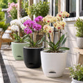 QCQHDU 2 Pack 5.7 Inch Orchid Pots with Holes for Repotting, Double-Layer and Self Watering Orchid Pot with Good Air Circulation Green 2packs 5.7IN