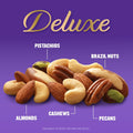 PLANTERS Deluxe Unsalted Mixed Nuts, Plant Based Protein, 15.25 Oz (1 Ct) Unsalted 15.25 Ounce (Pack of 1)