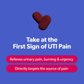 Azo, Urinary Pain Relief Maximum Strength, Fast relief of Uti Pain, Burning and Urgency, Targets Source of Pain, #1 Most Trusted Brand, 24 Count