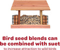Kaytee Wild Bird Seed & Mealworm Seed Cake Food For Bluebirds, Chickadees, Woodpeckers and More, 1.4 Pound 1.4 Pound (Pack of 1)