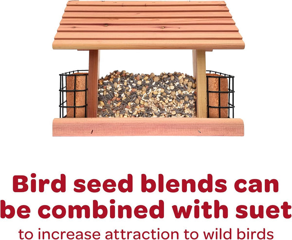 Kaytee Wild Bird Seed & Mealworm Seed Cake Food For Bluebirds, Chickadees, Woodpeckers and More, 1.4 Pound 1.4 Pound (Pack of 1)