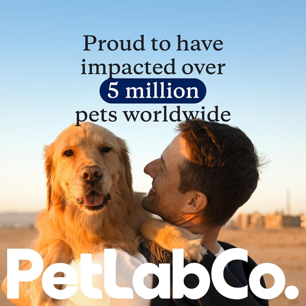 Petlab Co. Probright Advanced Dental Powder - Dog Breath Freshener - Teeth Cleaning Made Easy Ã¢ÂÂ Targets Tartar & Bad Breath - Formulated for