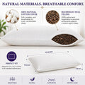 Sobakawa Traditional Buckwheat Standard Size Pillow Organic Cotton with Natural Technology for Cool Sleep, Neck Support for Back and Side Sleepers
