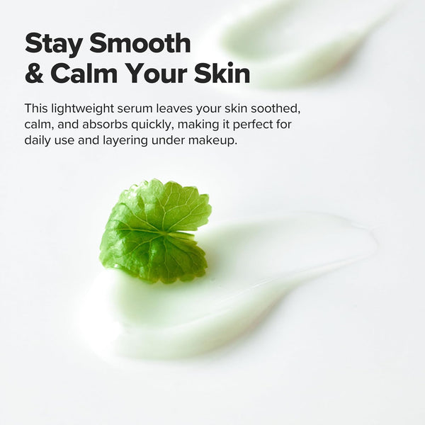 Beauty of Joseon Light on Serum Vitamin C Centella Dark Spot Fine Lines Pigmentation Correcting Serum, Hydrating Moisturizer, Korean Skin Care for