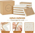 GREENTH PRO 10 Pack Nature Dish Sponge - Natural Kitchen Sponge - Coconut Fiber and Wood Cellulose Scrubber