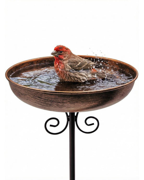 10" Small Metal Bird Bath with Stake, Outdoor Birdbath for Garden 10 "diameter, 1.6" depth