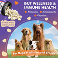 Probiotics for Dogs, Freeze-Dried Dog Probiotics and Digestive Enzymes, plus Omega-3 for Itchy Skin, 3-In-1 Prebiotics for Digestive Health, Dog