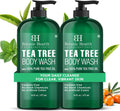 Botanic Hearth Tea Tree Body Wash, 16 Fl Oz (473 ml) Pack of 2 | With Tea Tree Oil, Peppermint & Sea Buckthorn | Gently Cleanses, Refreshes &