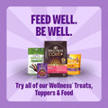 Wellness Old Mother Hubbard Classic Original Mix Dog Biscuits, Natural Training Treats, 4 Flavors, Mini Size, 20 oz Bag Assorted Mini 1.25 Pound