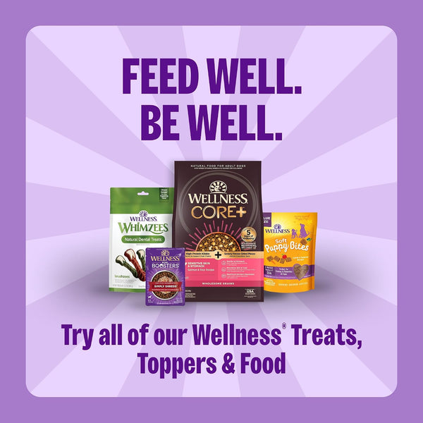 Wellness Old Mother Hubbard Classic Original Mix Dog Biscuits, Natural Training Treats, 4 Flavors, Mini Size, 20 oz Bag Assorted Mini 1.25 Pound