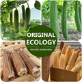 Natural Loofah Bath Exfoliation Body Scrubber, 3 Pack | Shower Sponge, Eco-Friendly Biodegradable, Exfoliating Scrubber, Women & Men, Beige
