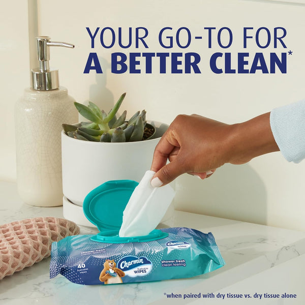 Charmin Flushable Wipes, 160 Total Wipes (4 Packs of 40) 40 Count (Pack of 4)