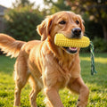 Carllg Dog Chew Toys for Aggressive Chewers, Indestructible Tough Durable Squeaky Interactive Dog Toys, Puppy Teeth Chew Corn Stick Toy for Small