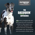 Nutramax Dasuquin Joint Supplement for Large Dogs, Soft Chews, 84ct | Glucosamine and Chondroitin Soft Chews for Large Dogs, with ASU, Supports