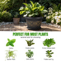 Usocik 8 Inch Retro Plant Pots 6 Pack with Drainage and Saucers Gold | Gold retro PP pots with drainage holes and saucers for herbs succulents