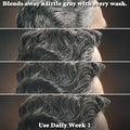 Just for Men Control GX Grey Reducing Beard Wash Shampoo with Keratin, Gradually Colors Mustache and Beard, Leaves Facial Hair Thicker Softer and
