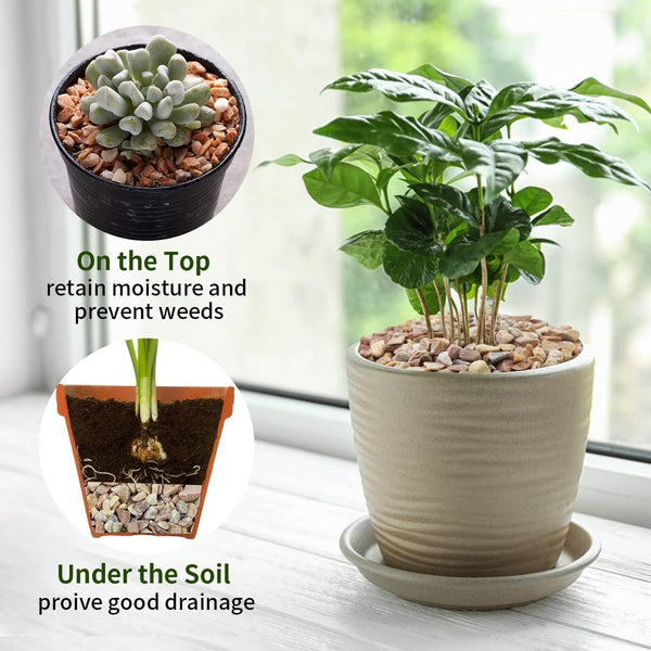 FANTIAN 5lbs Natural Pea Gravel Pebbles, 3/8 Inch Decorative Succulent Rocks Pebbles for Indoor Plants. River Rocks for Vase and Outdoor Garden