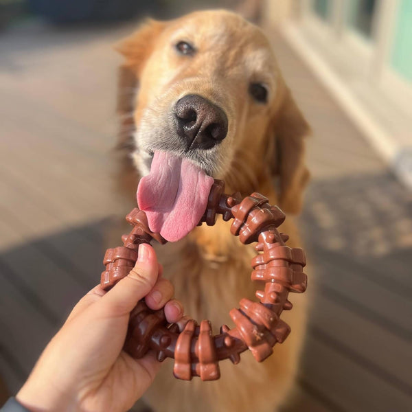 Nylabone Power Chew Textured Ring Dog Chew Toy, Flavor Medley, X-Large | Durable dog toys, long lasting, discourages destructive chewing,