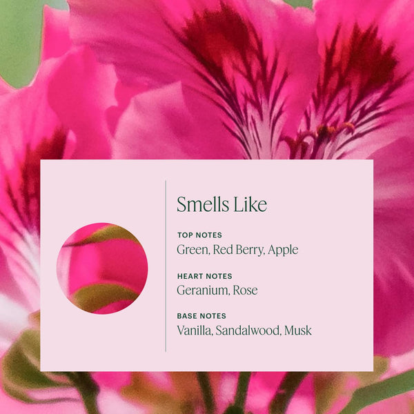 Aera Mini Home Hygiene Mint and Eucalyptus - Essential Oil for Home - Relaxing Fragrance - Notes of Orange Peel, Spearmint and Eucalyptus - Scent