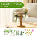 XXXFLOWER Plant Propagation Station Terrarium Wooden Stand 2 Love Bulb Vase Transparent