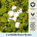 Sky Organics Organic Jumbo Cotton Balls for Sensitive Skin, 100% Pure Organic Cotton Sustainably Grown, Chlorine Free, Hypoallergenic, Ultra-Soft