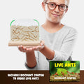 Dan&Darci Ant Farm Kit for Kids - Farms Colony - Includes Ants Voucher - Sand Habitat Kits - Bug Terrarium House - Educational Science Gifts for