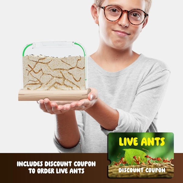 Dan&Darci Ant Farm Kit for Kids - Farms Colony - Includes Ants Voucher - Sand Habitat Kits - Bug Terrarium House - Educational Science Gifts for