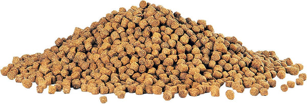 Aqueon Cichlid Slow Sinking Fish Food Pellets, Medium Size, 25 Ounce 1.56 Pound (Pack of 1) Medium 25 Ounces