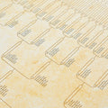 Okuna Outpost Family Tree Charts to Fill in - 8 Generation Genealogy Charts with 255 Name Spaces - Blank Family Tree Posters on Poster Paper for
