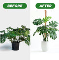 EcoNour 2 Pack Moss Poles for Plants – 28" Monstera Plant Support Stakes, Coir Plant Sticks for Indoor Climbing Plants, Pothos, Philodendron &
