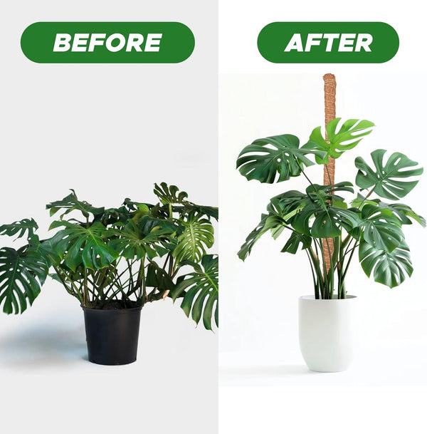 EcoNour 2 Pack Moss Poles for Plants – 28" Monstera Plant Support Stakes, Coir Plant Sticks for Indoor Climbing Plants, Pothos, Philodendron &