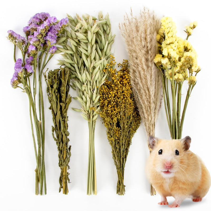 Sukh Herb Bedding Habitat Decor - Natural Flower Hamster Mate Herbs Sprays Cage Safe Pet Accessories Decorations Hideout for Hamsters Mouse Guinea