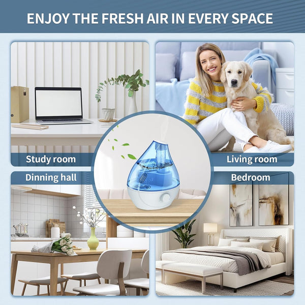 12-Pack Demineralization Cartridge for Humidifier Compatible with HoMedics Total-Comfort Ultrasonic Humidifier Demineralizer Tablets Filter