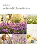 EZR LEAF Pura Caffeine-Free Herbal Tea Collection, 22ct Pyramid Tea Bags, Floral & Fruit Tea Gift Set with Lemon Verbena, Chamomile Mint,