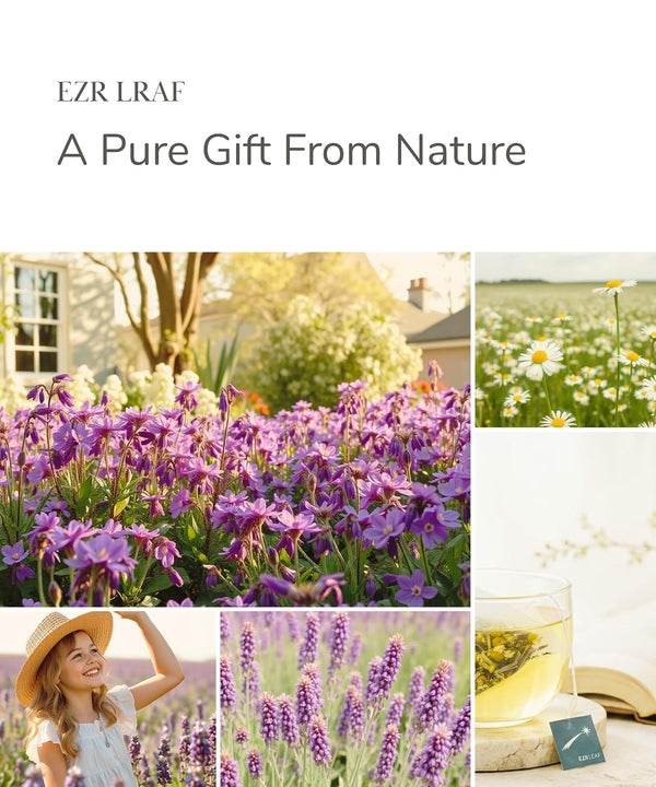 EZR LEAF Pura Caffeine-Free Herbal Tea Collection, 22ct Pyramid Tea Bags, Floral & Fruit Tea Gift Set with Lemon Verbena, Chamomile Mint,