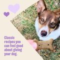 Wellness Old Mother Hubbard Classic Original Mix Dog Biscuits, Natural Training Treats, 4 Flavors, Mini Size, 20 oz Bag Assorted Mini 1.25 Pound
