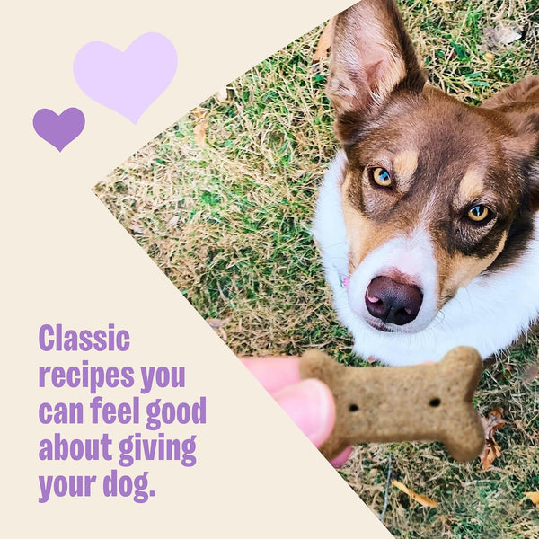 Wellness Old Mother Hubbard Classic Original Mix Dog Biscuits, Natural Training Treats, 4 Flavors, Mini Size, 20 oz Bag Assorted Mini 1.25 Pound