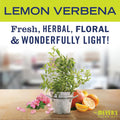 MRS. MEYER'S CLEAN DAY Vinegar Gel Cleaning Spray, Bathroom Use, No-Rinse Formula, Plant-Derived Cleaning Ingredients, Lemon Verbena, 16 Fl Oz,
