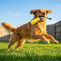 Carllg Dog Chew Toys for Aggressive Chewers, Indestructible Tough Durable Squeaky Interactive Dog Toys, Puppy Teeth Chew Corn Stick Toy for Small