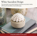 AiromÃÂ© White Succulent, Porcelain Passive Essential Oil Diffuser (With 15Ml Peppermint Essential Oil) Ã¢ÂÂ Non-Electric, Battery-Free, Improves